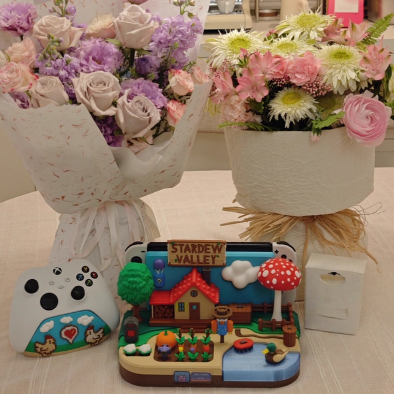 Switch Dock Stardew Valley Far - огляд і ціна Gaming Console With